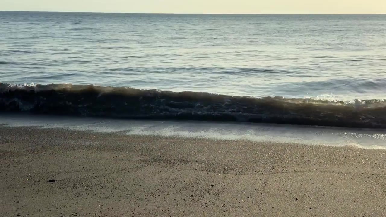 Blide havbølger skvulper på en sandstrand