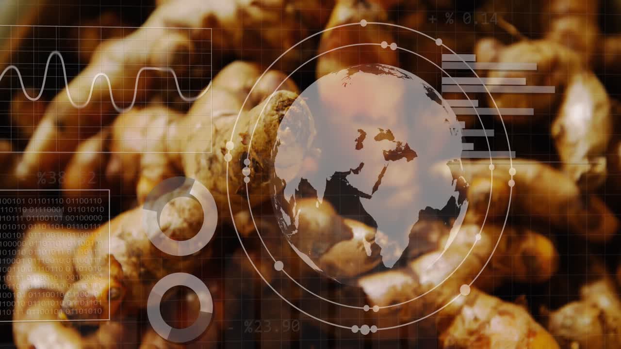 анимация статистики и обработки данных и глобус над овощами в магазине