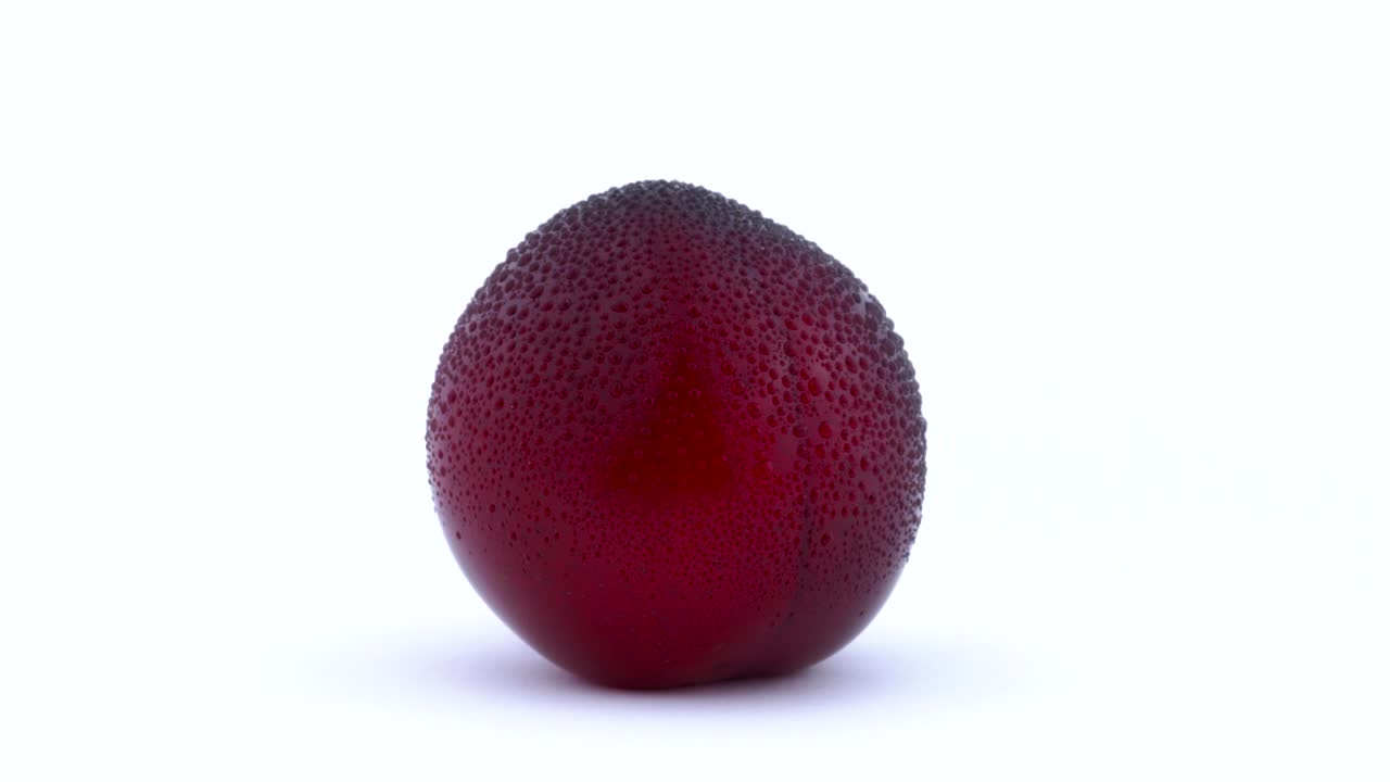 una ciruela de maynard púrpura entera con gotas de agua girando en la mesa giratoria. aislado en el fondo blanco. primer plano. macro.