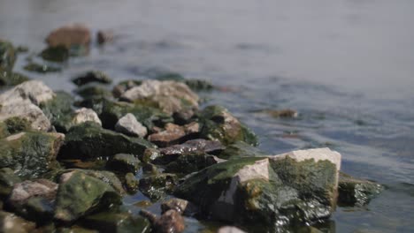 Rocas-En-Un-Agua-De-Mar-En-Un-Fondo-Borroso-Y-Cámara-Lenta-Con-Hermoso-Bokeh