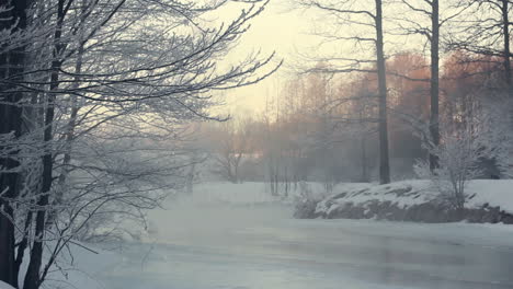 winterlandschaft. verschneite szene im winterwald mit nebel über dem zugefrorenen fluss