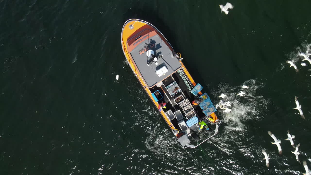 Lobster fishing boat lifting cages in the morning in front of Rocher Perc&eacute; in Perc&eacute;, Qc