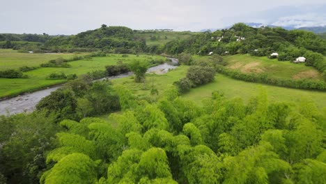 rivers, trees, animals and nature of colombia