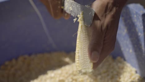 ingredient-of-typical-venezuelan-food-with-corn