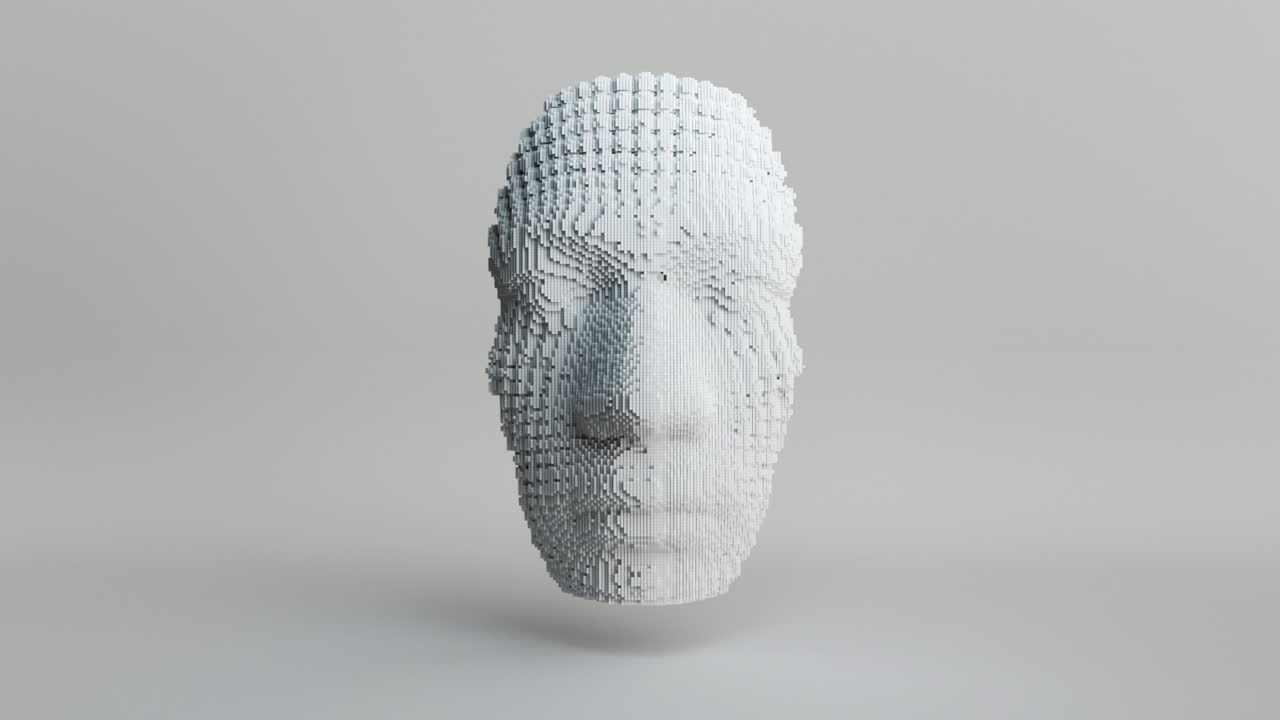 cara de voxel en tres dimensiones