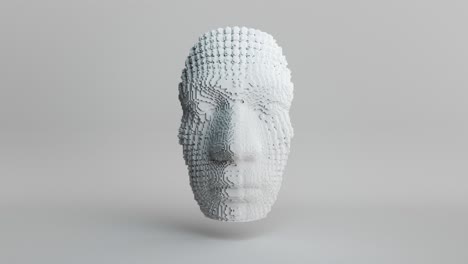 3d voxel face