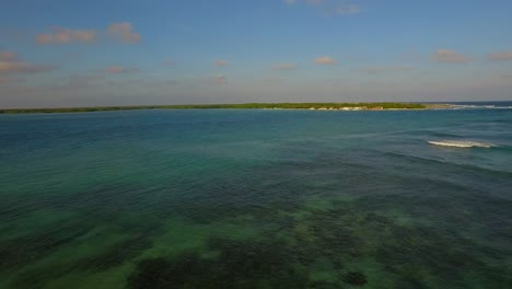la laguna y los manglares de lac bay en bonaire, antillas holandesas