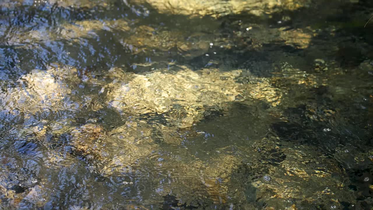 Clear stream water flows over rocks, sunlight reflecting, steady camera, natural forest environment