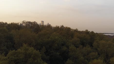 Drone-shot-rising-over-a-bush-to-see-a-costal-city-at-low-tide