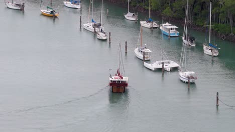 a boat maneuvers through a marina surrounded by yachts and lush greenery in port douglas, queensland. calm waters and overcast lighting