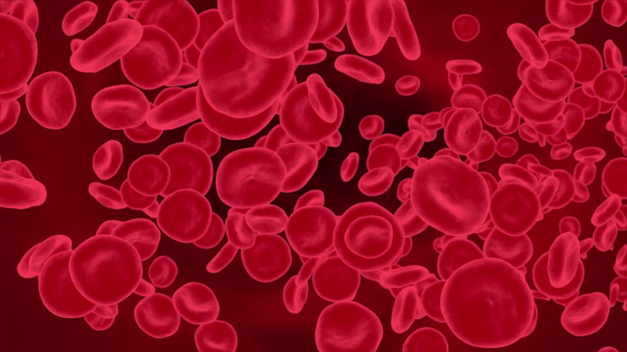 células sanguíneas abstractas, bacterias y virus que viajan a través de una vena. fondo de bucle de partículas de burbuja de aire.