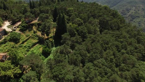 Flying-Over-Green-Forest-with-River-in-the-Background