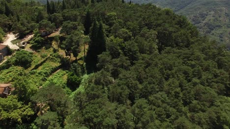 volando sobre un bosque verde con un río al fondo