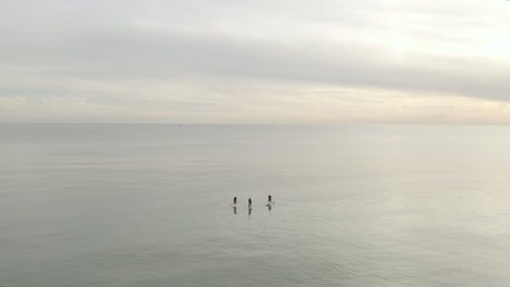 three people on paddle boards in the ocean in calm waters with golden sunset