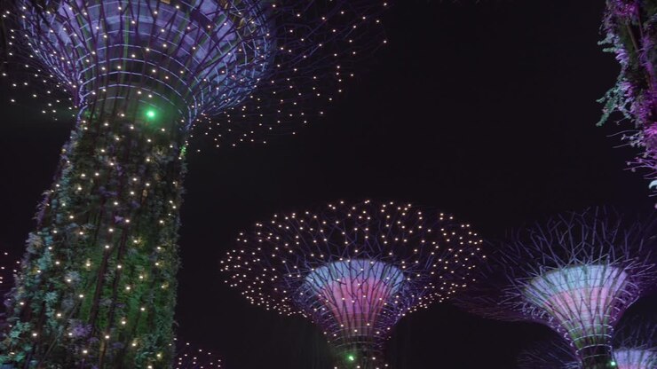 Singapore Supertree grove show at Gardens by the bay show panning shot