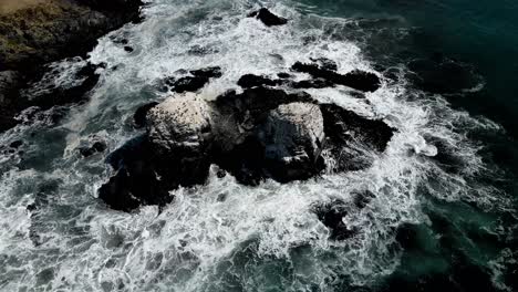 aerial-crane-shot-of-the-rocks-of-Punta-de-Lobos-with-birds-on-their-tops-on-a-sunny-day-and-the-bay-next-to-them