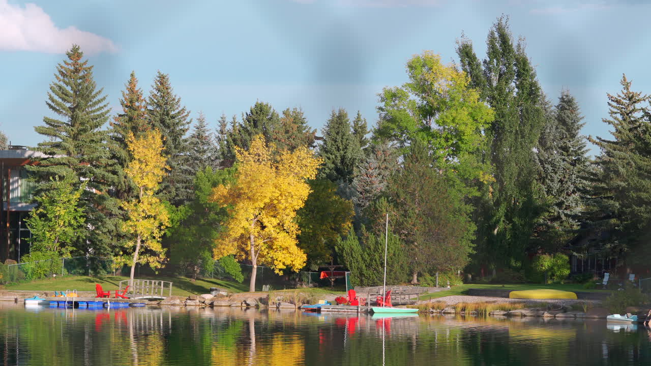 캐나다의 온화한 여름날 고요한 호숫가 해변