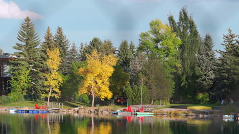 calm lakeside beach on a mild summer day in canada