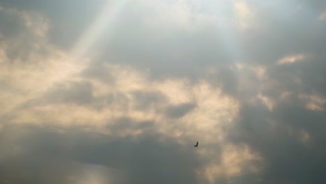 sunbeams break through the clouds as eagle birds flying after sunrise