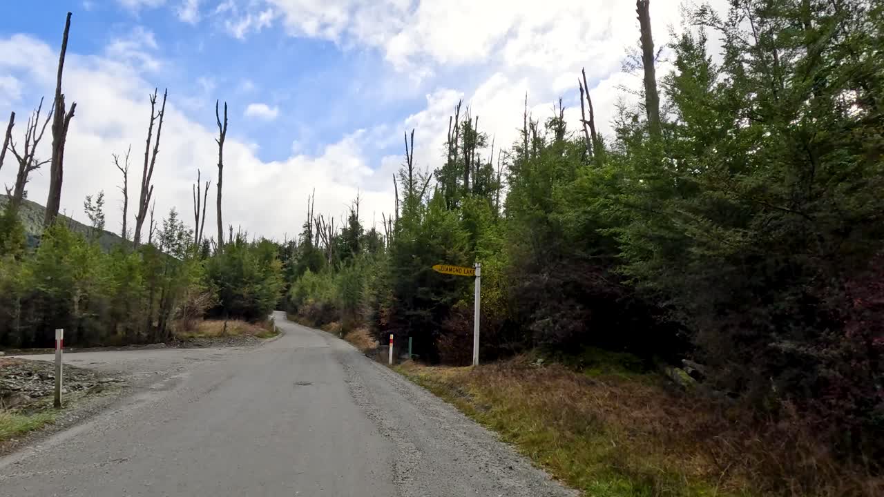 Vehicle approaches rural road junction through lush forest, daylight, wide angle, steady forward camera movement