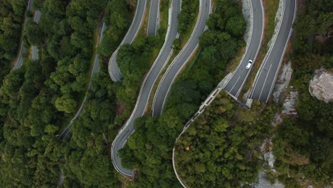 aerial drone flight above the scenic mountain serpentine road plöckenpass in italy by the natural austrian alps in summer with green forest trees in nature and travel vacation cars on the street