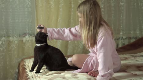 girl combs hair of her cat with special brush for animals.