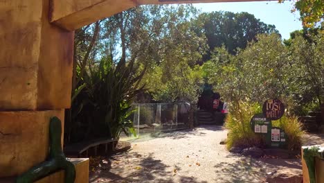 visitors enter and walk along the lush, plant-lined dino trail pathway.