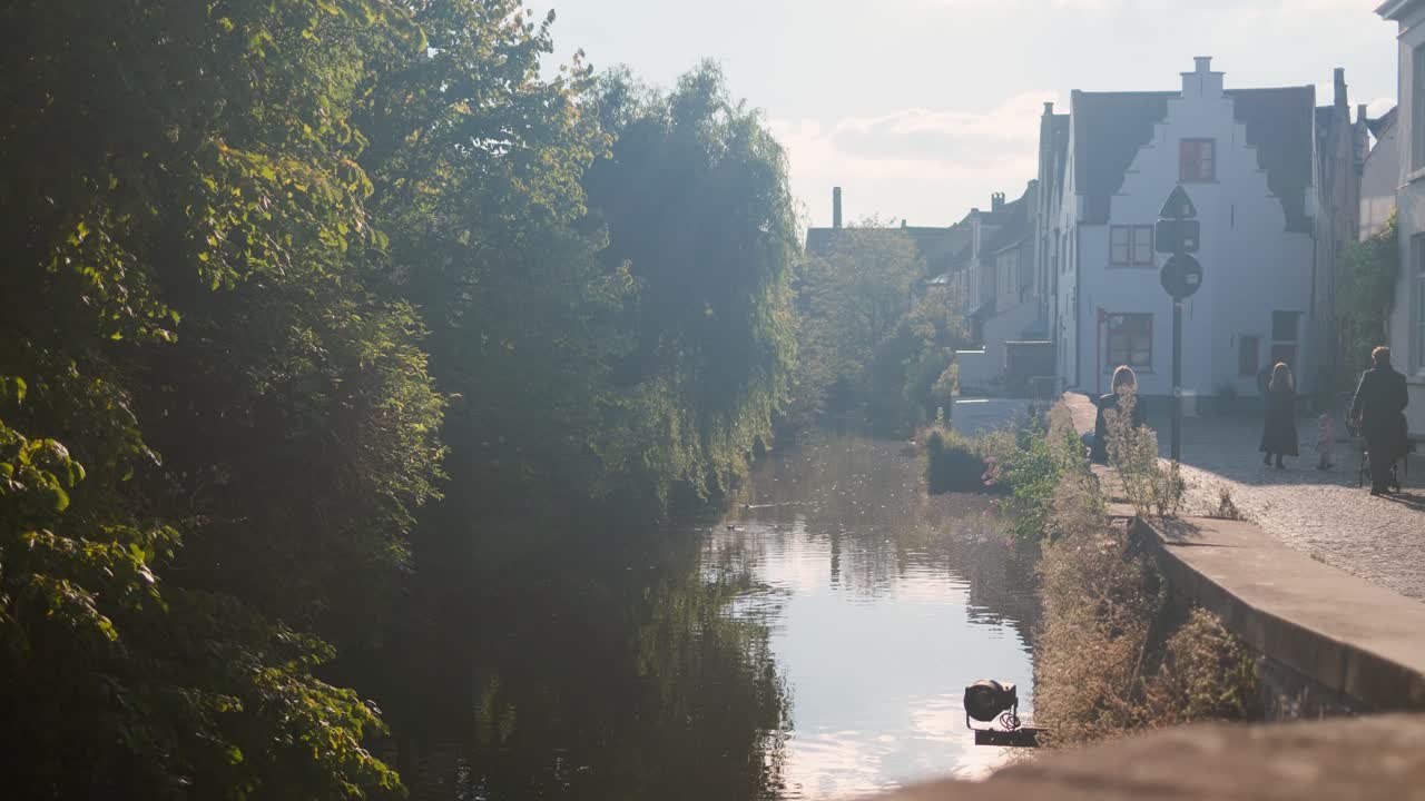 Peaceful canal scene in Bruges Belgium with greenery and traditional buildings in soft sunlight