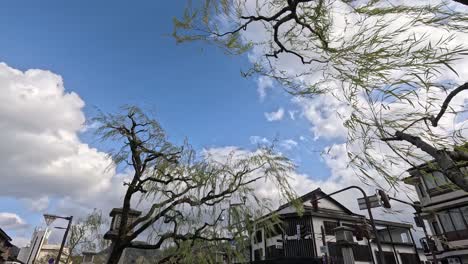 time-lapse de un puente en una pintoresca ciudad