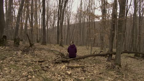 mujer con chaqueta morada con mochila descansando sobre un árbol caído en el bosque de hoia baciu en rumania en invierno