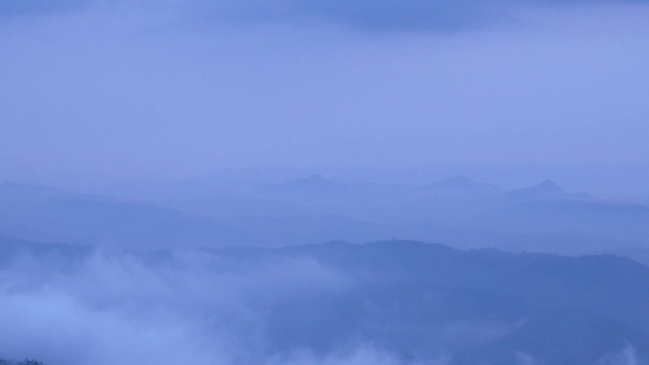 Atmospheric low-lying mist and clouds rolling over lush green rolling hills of Munnar tea plantations in the Western Ghats, Kerala during blue hour twilight.