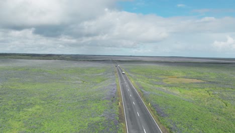 cars driving on the ring road through fields during summer in iceland