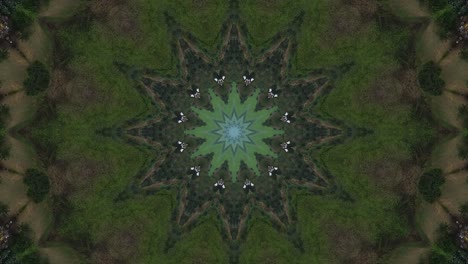 einzigartiges und wunderschönes abstraktes kaleidoskop-texturdesign