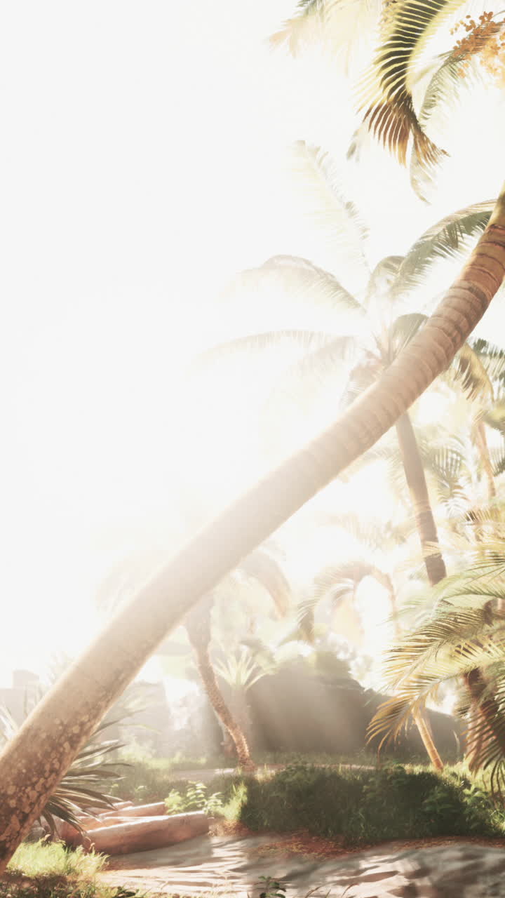 прекрасный тропический пляж с пальмами