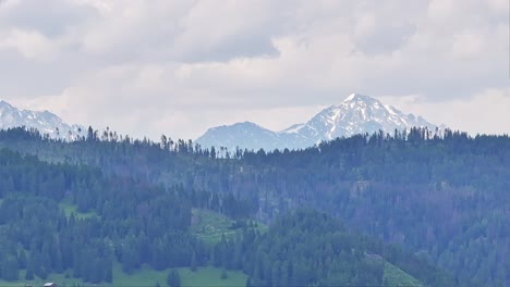 üppiges-Grün-Pragser-Wildsee-Prags-Italien