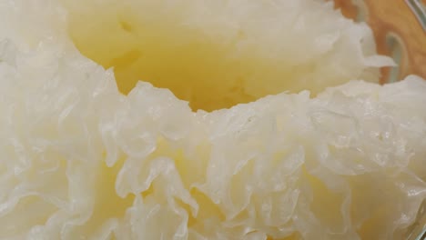 tremella fermented salted jamur salju or snow fungus, white colored fungi for food and medicine, popular in china and also chinese cuisine.
