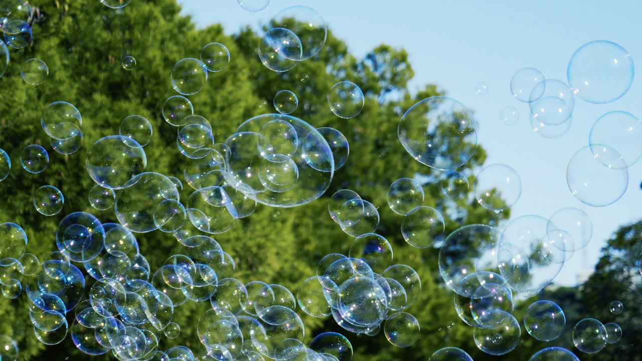 Bubbles in the park