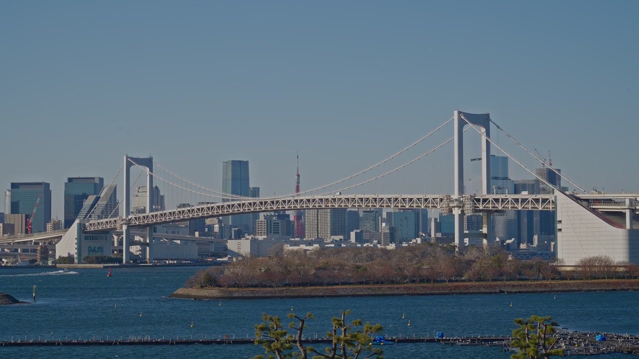 L'intera campata bianca del Rainbow Bridge attraversa la Baia di Tokyo con una torre rossa e un denso skyline cittadino sullo sfondo, un'isola boscosa sottostante, catturata come un'inquadratura statica a campo medio in pieno giorno