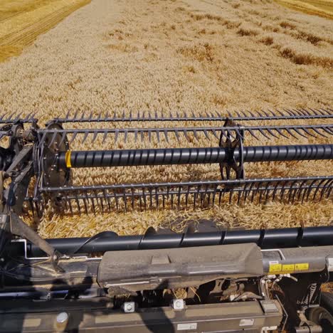 metal detail of combine harvester. modern combine harvesting wheat on the field in summer. view from agricultural machine. close-up.