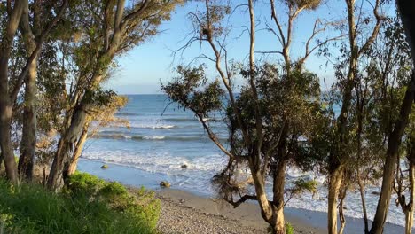 beautiful holiday destination sea view with sand trees and blue sky in marbella estepona spain, 4k static shot