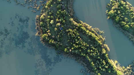 Smooth drone aerial view tracking sideways above gorgeous swampy mash at sunset