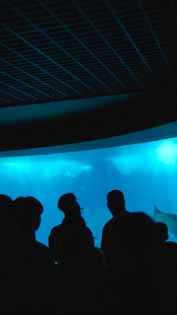 Silhouettes of People Viewing a Large Aquarium Tank