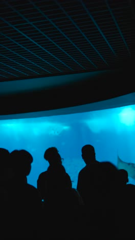 silhouettes of people viewing a large aquarium tank