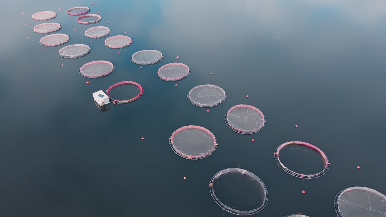 케이지 에 많은 물고기 보호 구역 이 있는 물고기 농장 의 공중 사진
