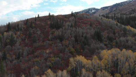 Drone-footage-of-colorful-trees-in-the-mountains