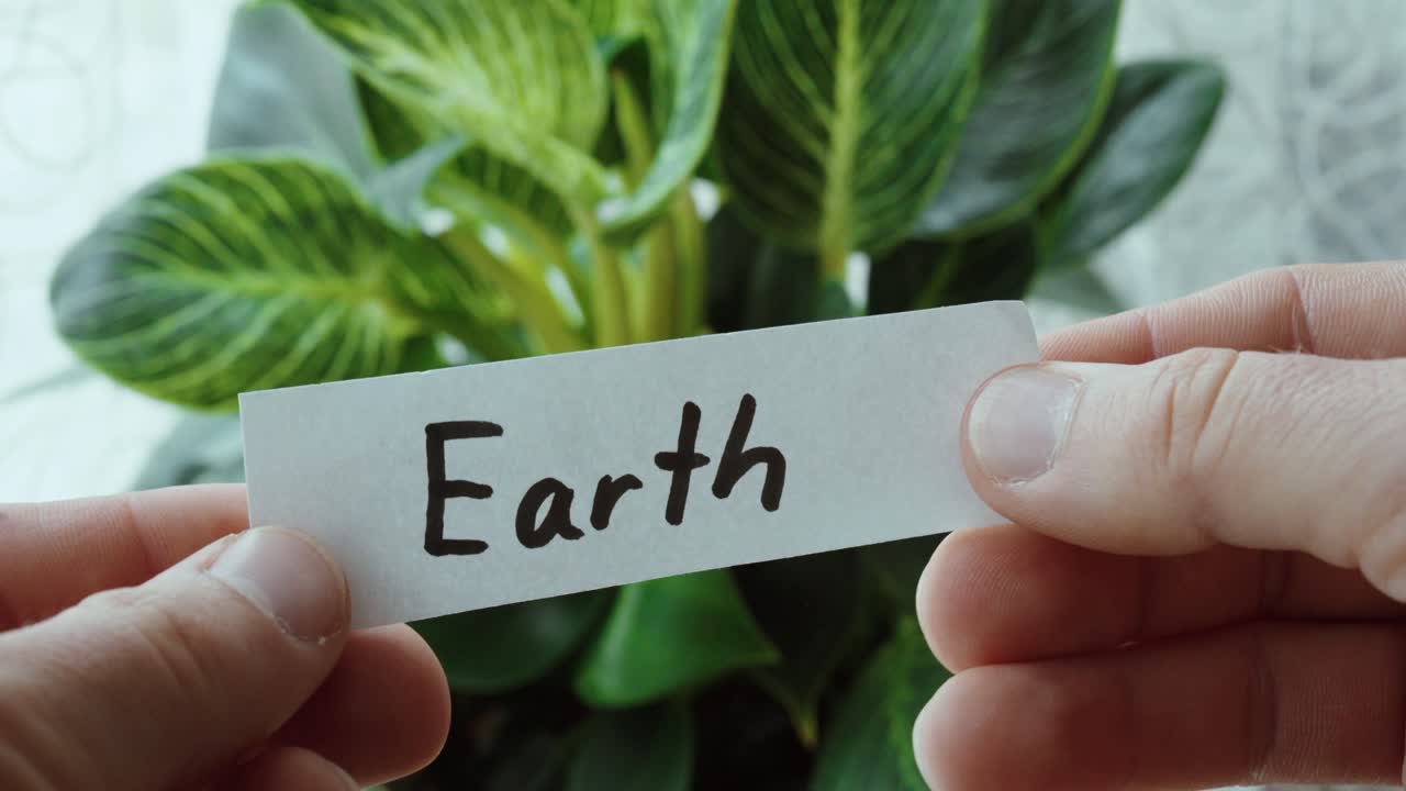 Hands holding a paper labeled “Earth” in front of a green plant, symbolizing nature, sustainability, and environmental awareness