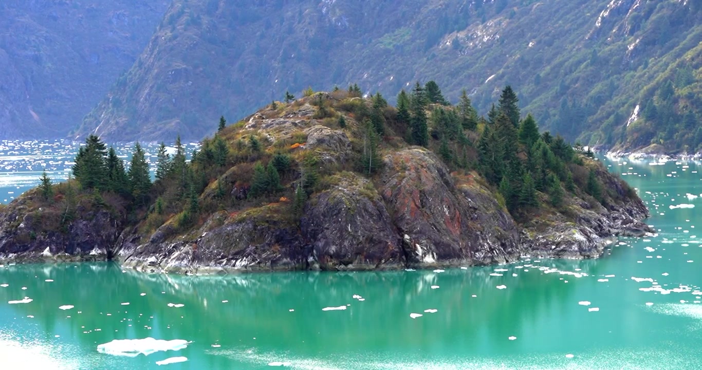 Piccola isola rocciosa nel fiordo di Tracy Arm, Alaska.