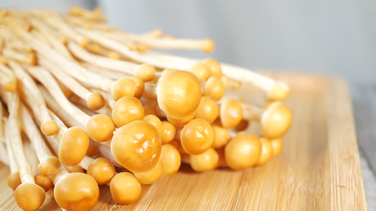 파란색 배경에 산 버섯의 세부 사진