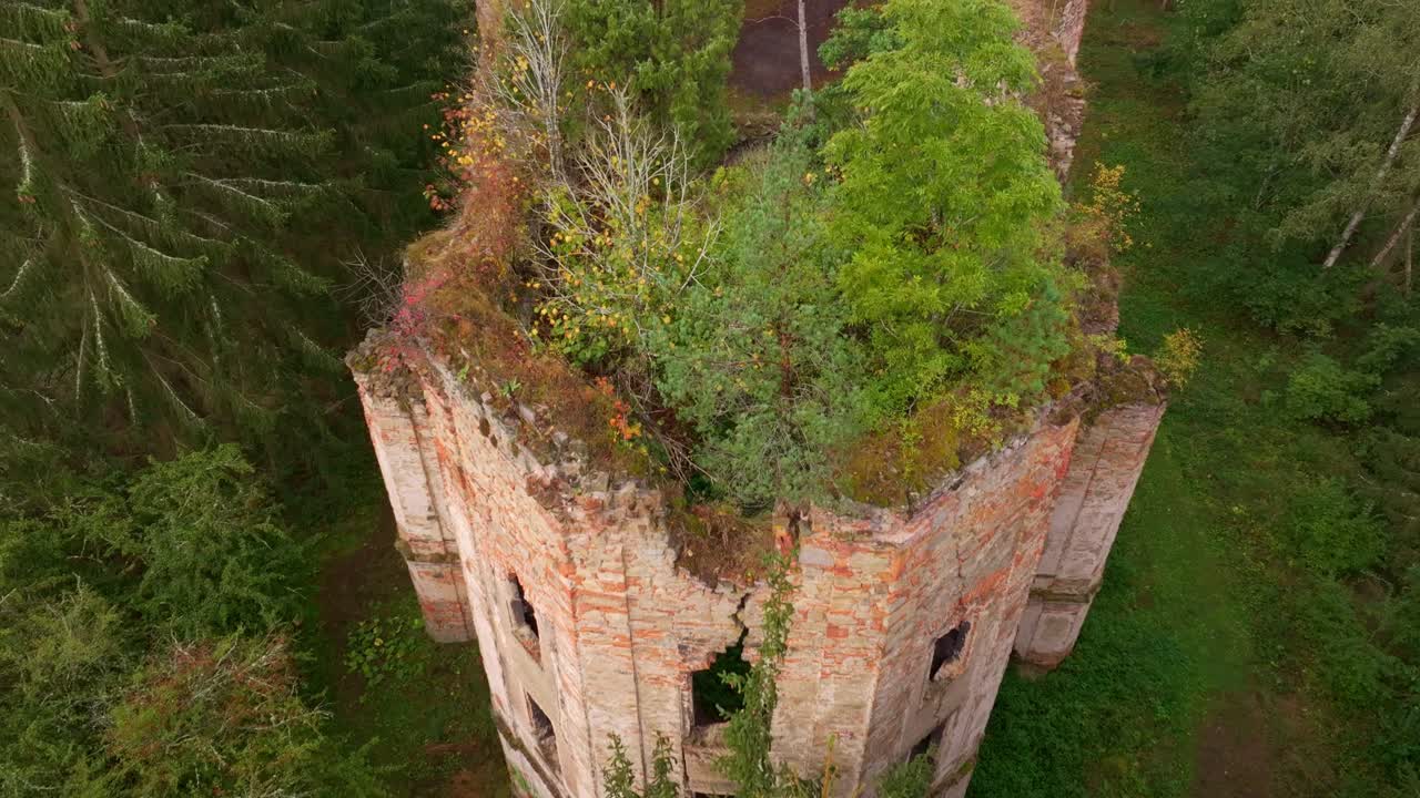 Vista panoramica delle rovine della chiesa di St. Jana Krtitele nella foresta, Kocov, Repubblica Ceca.