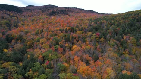 flashy colors of autumn